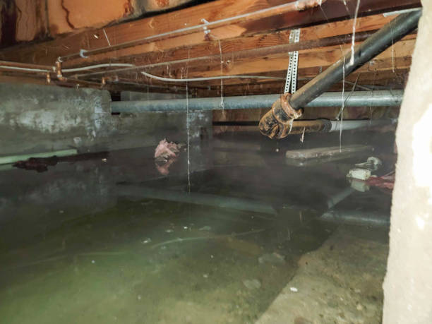 Best Emergency water damage restoration  in Kiefer, OK