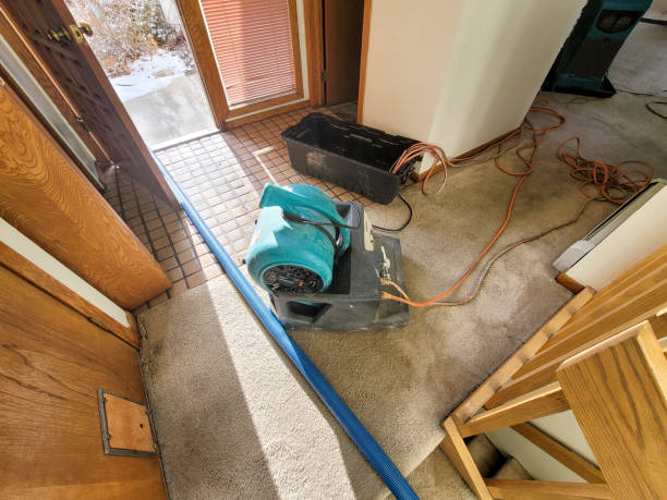 Best Mold removal after water damage  in Kiefer, OK