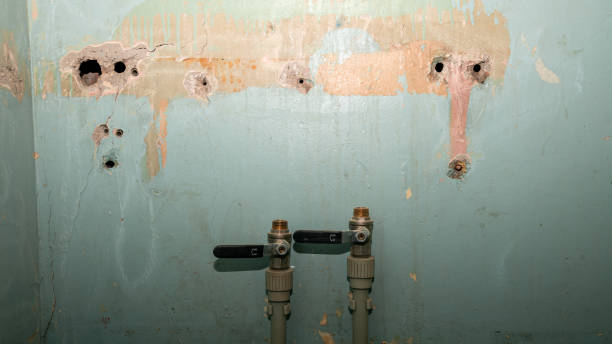 Best Water damage cleanup near me  in Kiefer, OK